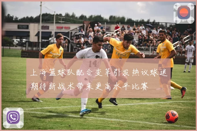 上海篮球队配合变革引发热议球迷期待新战术带来更高水平比赛