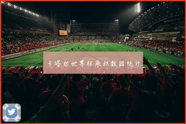 卡塔尔世界杯乘积数据统计