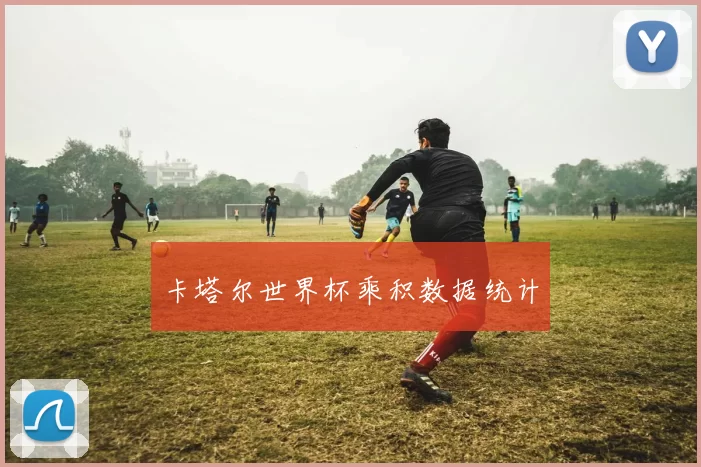 卡塔尔世界杯乘积数据统计