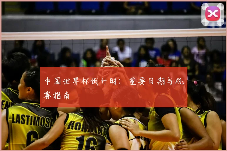 中国世界杯倒计时：重要日期与观赛指南