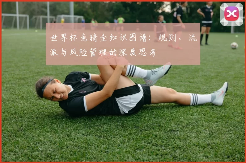 世界杯竞猜全知识图谱：规则、流派与风险管理的深度思考