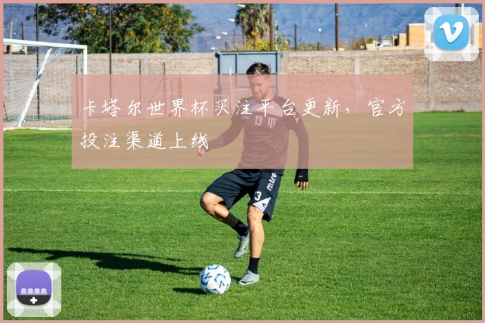 卡塔尔世界杯买注平台更新，官方投注渠道上线
