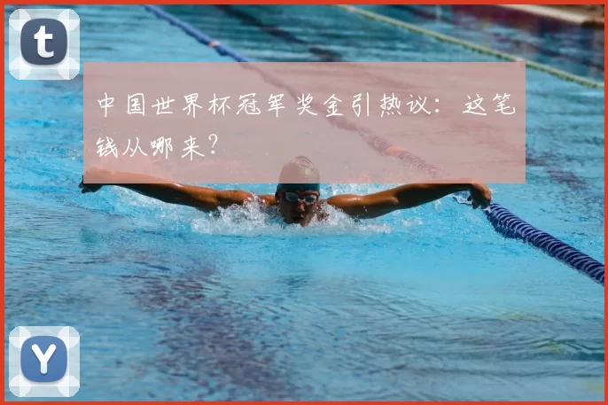 中国世界杯冠军奖金引热议：这笔钱从哪来？