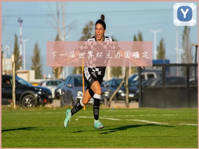 下一届世界杯主办国确定