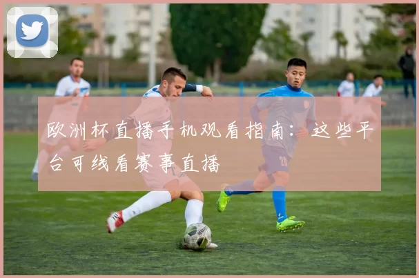 欧洲杯直播手机观看指南：这些平台可线看赛事直播