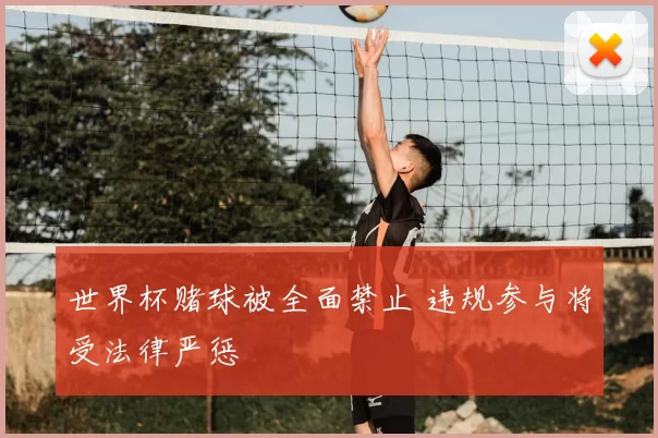 世界杯赌球被全面禁止 违规参与将受法律严惩