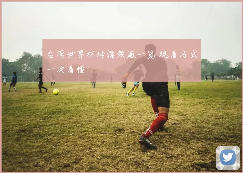 台湾世界杯转播频道一览 观看方式一次看懂